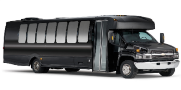 Luxury Mini Bus